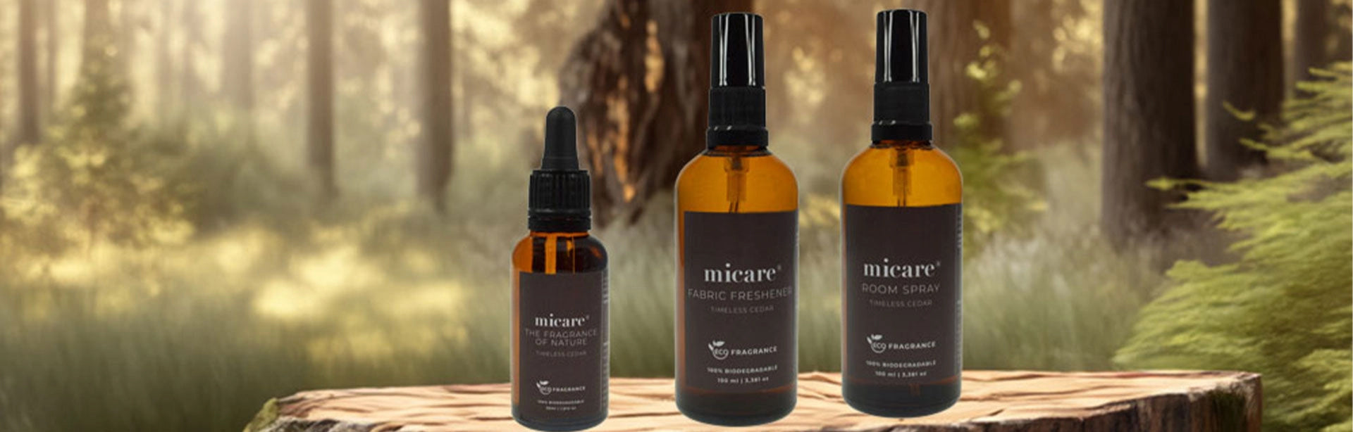 Timeless Cedar – Varme, træagtige noter med naturlig friskhed