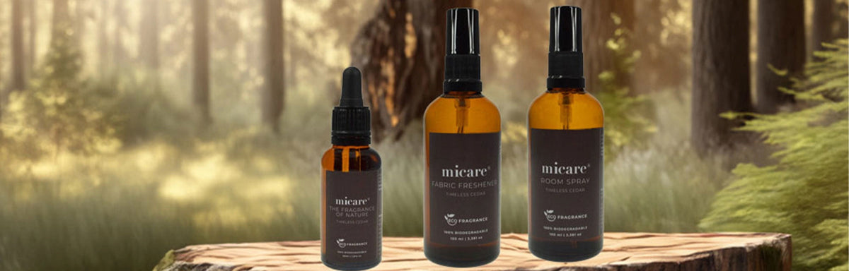 Timeless Cedar – varme, træagtige noter med en naturlig friskhed