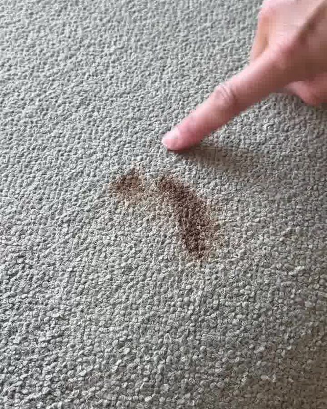 Før: Plet på sofa før og efter SOFTCARE TEXTILE.